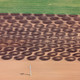 Illustration for article titled The Odd and Mesmerizing Aerial Photos of Klaus Leidorf